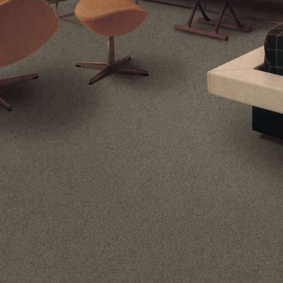 PP-materiaal Wand-aan-Wand tapijt voor hotelkamers Woonkamers Slaapkamers Stapelhoogte 7 mm