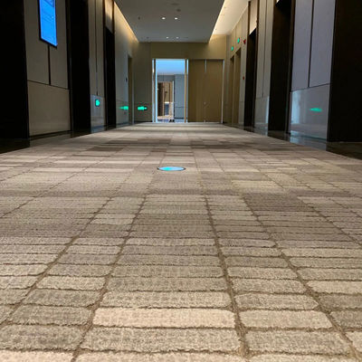 Hand Tufted Wool Alfombra voor woonkamer Decoratieve Ruimte tapijt in commercieel interieur