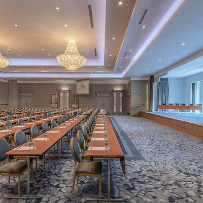 Modern Silverstone Luxe Hotel tapijt Tapis De Saloon Filmtheater Axminster tapijt voor Casino