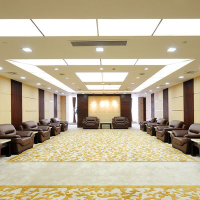 Medium Pile Customized Purple Hotel Carpet voor woonkamer brandwerend Luxe Broadloom