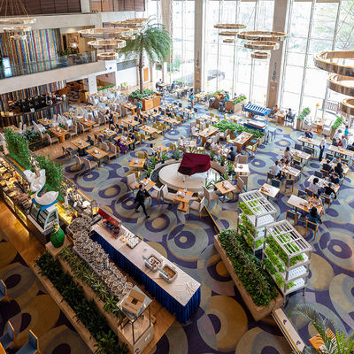Op maat gemaakte brandwerend luxe hotel tapijt in paars nylon voor woonkamer